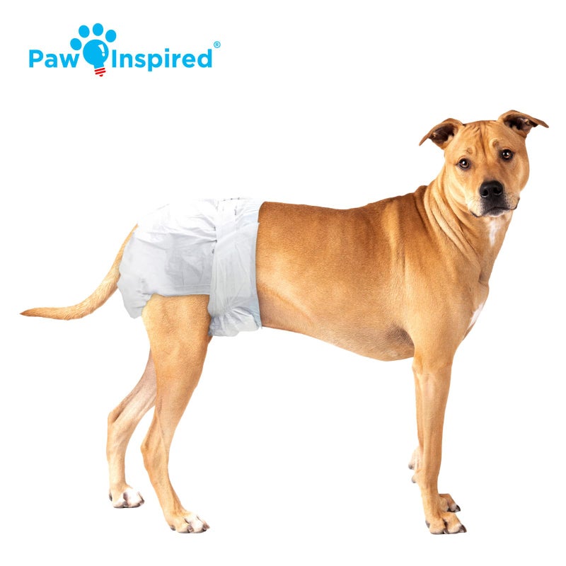 Paw Inspired 32ct Disposable Dog Diapers | Female Dog Diapers Ultra Protection | Diapers for Dogs in Heat, Excitable Urination, or Incontinence (Medium Plus) - Image 4